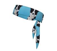 Border Collie Printing 1 Pieces Headband Hair Band Unisex Dry Head Tie Sport Band For Basketball Running Tennis