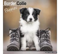 Border Collie Puppies Calendar 2025 Square Dog Puppy Breed Wall... 9781804604021