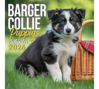 Border Collie Puppies Calendar 2026: Energetic and Intelligent Border Collie Puppies at Play