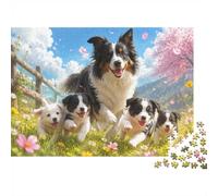 Border Collie Puppies Jigsaw Puzzle 1000 Pieces for Adults | 70x50cm Rigid Cardboard, Vibrant HD Colours, Tight Precision Fit, Dust Free, Relaxing Brain Exercise, Wall Art