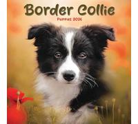 Border Collie Puppies Mini Calendar 2026