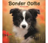 Border Collie Puppies Square Mini Calend