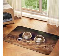 Border Collie Puppy Bokeh Brown Border Collie,Waterproof Pet Feeding Mat,PU Leather Placemats for Cat Dog Water Bowl,Food Mats,30x45cm