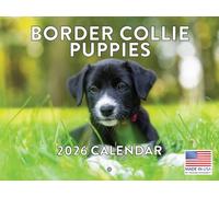 Border Collie Puppy Calendar 2026