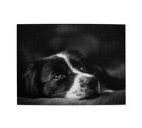 Border Collie Puppy Dog,500 Pieces Puzzles for Adults-Wooden Jigsaw Puzzle for Adults Elderly