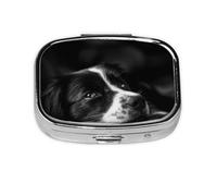 Border Collie Puppy Dog,Meta Pill Box 2 Compartment Medicine Case,Portable Organizer,Rectangle Meta Portable Organizer Pill Box 721 Compartment Medicine Case