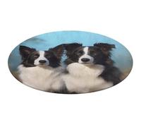 Border Collie Round Area Rug Non Slip Backing Doormat Water Absorbent Plush Throw Low-Pile Non-Slip Floor Mat Carpet for Living Room Bedroom Entryway Nursery Room 80 * 80cm