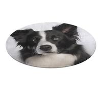 Border Collie Round Area Rug Non Slip Backing Doormat Water Absorbent Plush Throw Low-Pile Non-Slip Floor Mat Carpet for Living Room Bedroom Entryway Nursery Room 90 * 90cm