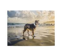 Border Collie Sea Sky Dog,500 Pieces Puzzles for Adults-Wooden Jigsaw Puzzle for Adults Elderly