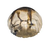 Border Collie Sea Sky Dog Double Layer Elastic Waterproof Shower Cap Reusable Bath Cap