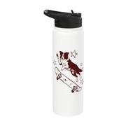 Border Collie Skateboard 2000s Aesthetic Vintage Graphic Stainless Steel Insulated Water Bottle