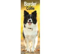 Border Collie Slim