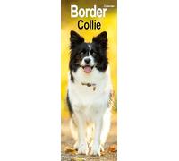 Border Collie Slim 2027 Calendar | Slimline Wall Calendar | Dog Breed Gift | Plastic Free Packaging | by Avonside Publishing