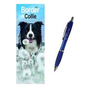 Border Collie Slim Calendar 2026 + EXCLUSIVE LIMITED EDITION PEN