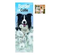 Border Collie Slim Calendar 2026 + FSC ECO-FRIENDLY DIARY