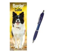 Border Collie Slim Calendar 2027 + EXCLUSIVE LIMITED EDITION PEN