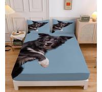Border Collie Small Single Fitted Sheet Blue Microfibre Bedding Sets 3pcs Sheets Deep Pocket 30cm with 2 Pillowcase, Bed Cover (75x190cmx30cm) sd345