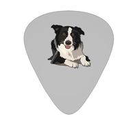 Border Collie Soundtrack Guitar Picks Bass Guitarist Plectrums Paddles for Playing Guitar 12 PCS