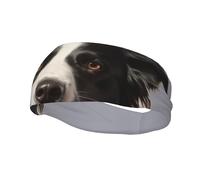 Border Collie Sports Sweatband Head Bands for Women Men, Lightweight Breathable Non Slip Workout Headbands Hairband for Fitness Running Cycling Hiking Yoga