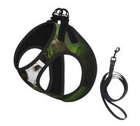 Border Collie Stone Sweet Brown Dogs Pets,Pet Harness,Adjustable Reflective Dog Harness,Pet Leash Vest,S