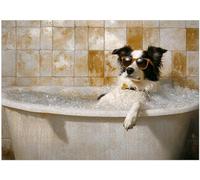 Border Collie Taking Bubble Bath Jigsaw Puzzle 1000 Pieces for Adults - Border Collie on a Bathtub in Bathroom - Pet Shower Decor Puzzles
