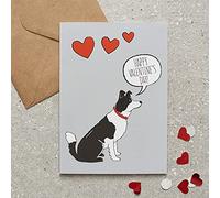 Border Collie Valentine's Day Card