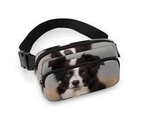 Border Collie Waist Bag Fashion Fanny Bag with Adjustable Strap for Outdoor Workout Cycling Unisex, white, 20x13cm, Waist Bag
