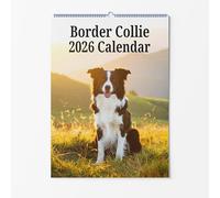 Border Collie Wall Calendar - Choice Of Sizes - A4 Dog Calendar - Dog Lovers Monthly Planner 2026