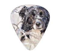 Border Collie Winter Snow White Black Dogs,12 Pcs Guitar Pick,3 Different Thickness Plectrums for Acoustic Guitar Bass Ukulele (0.46mm 0.96mm 0.71mm)