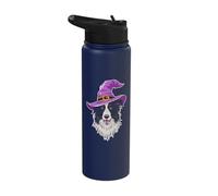 Border Collie Witch Dog Halloween Stainless Steel Insulated Water Bottle