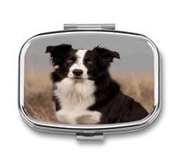 Border Collie1 Square Pill Case Travel Pill Organizer Portable Small Pill Box 2 Compartments Metal Medicine Box Sealed Pill Container Vitamin Medicine Organizer