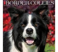 Border Collies 2025 Wall