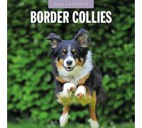 Border Collies - 2026 Square Wall Calendar - by Red Robin Publishing
