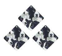 Border Collies Funny Car Air Fresheners 3pcs Long Lasting Scent Automotive Hanging Scented Cards Tablets