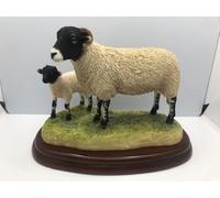 Border Fine Arts - "Sheep Breeds - Swaledale Ewe and Lambs on Wooden Base A1248 - Boxed - 18cm *10cm *13 cm (H)