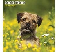 Border Terrier 2025 Traditional Calendar