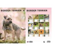 Border Terrier 2026 Calendar - A3 Size 30 x 42 cm, 12 Months of Great Photography