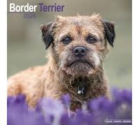 Border Terrier 2026 Calendar | Square Wall Calendar | Dog Breed Gift | Plastic Free Packaging | by Avonside Publishing
