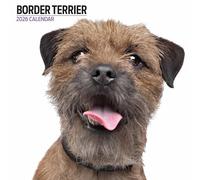 Border Terrier 2026 Modern Calendar