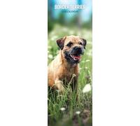 Border Terrier 2026 Slim Calendar