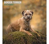 Border Terrier 2026 Traditional Calendar