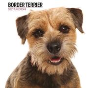 Border Terrier 2027 Modern Calendar