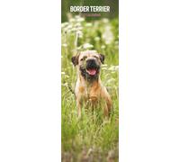 Border Terrier 2027 Slim Calendar