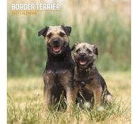 Border Terrier 2027 Traditional Calendar