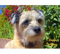 Border Terrier Art Birthday Card