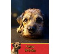 Border Terrier Birthday Card