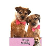 Border Terrier Birthday Card