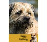Border Terrier Birthday Card