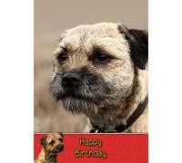 Border Terrier Birthday Card