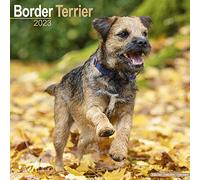 Border Terrier Calendar 2023 | Square Dog Breed Wall Calendar - 16 Month